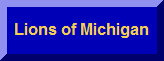 click here for a list of all Vice District Governors